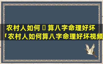 农村人如何 ☘ 算八字命理好坏「农村人如何算八字命理好坏视频」